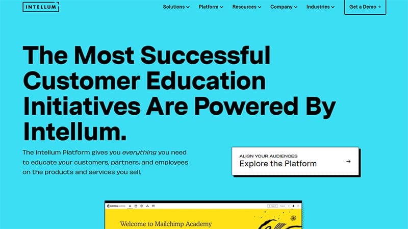 17. Intellum - Best B2B Website Example