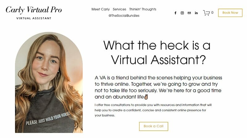 19. Carly Virtual Pro - Virtual Assistant Website Example