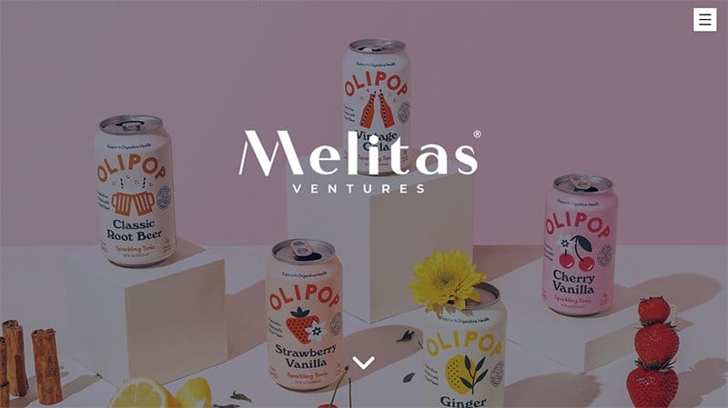2. Melitas Ventures - Best Editor X Website Example
