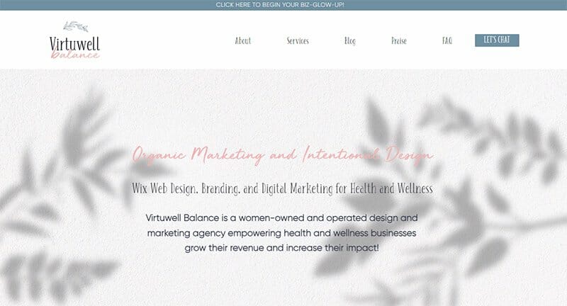 28. Virtuwell Balance - Virtual Assistant Website Example