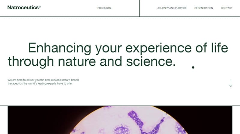 29. Natroceutics - Awesome Websites Designs for Inspiration Example