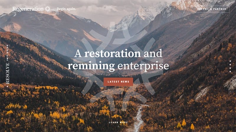 7. Regeneration - Best Informational Website Example