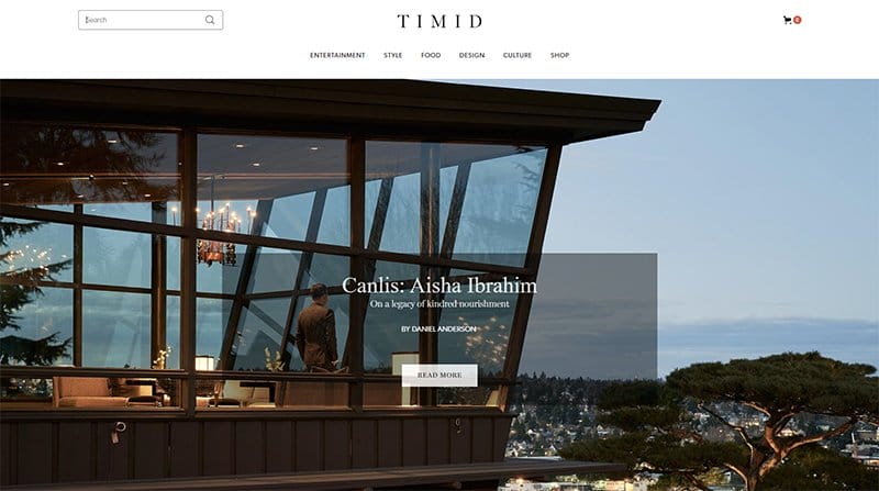 9. Timid Magazine - Best News Website Designs For Inspiration