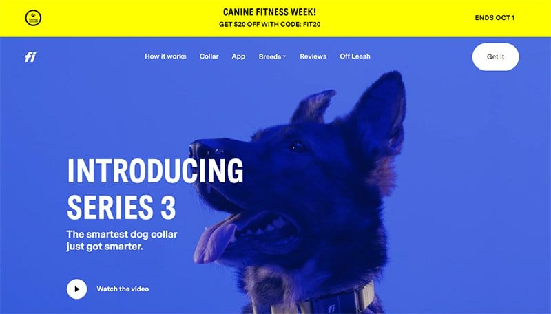 12. Fi Smart Dog Collar - Examples Of Niche Website Example