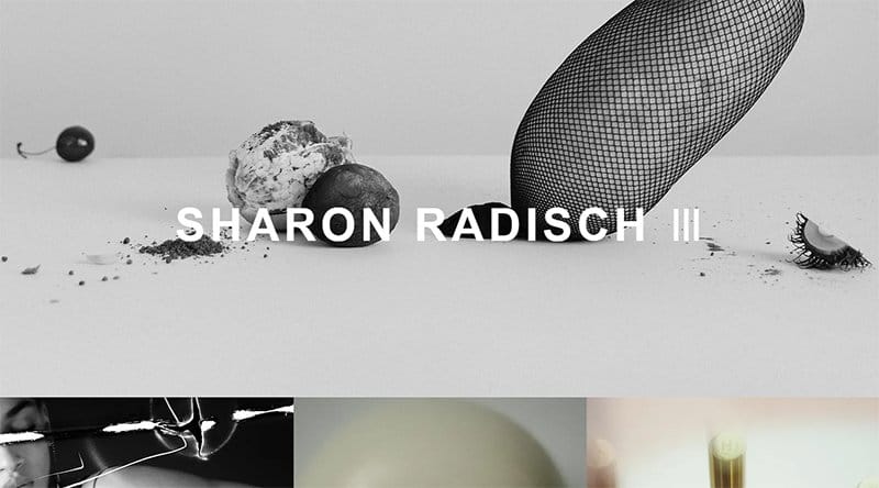 12. Sharon Radisch - Best Website Homepage Design Example