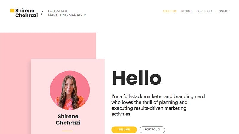 12. Shirene Chehrazi - Inspiring Examples of Freelance Business Website