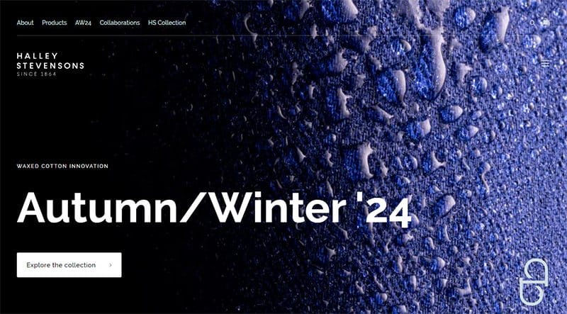 19. Halley Stevensons - Amazing Elementor Website Example