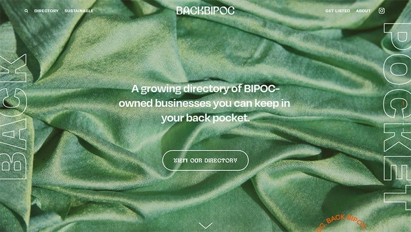 2. BackBIPoC - Best Unique Website Example