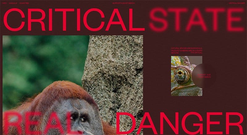 25. Critical Danger - Beautiful Dark Websites for Inspiration Example