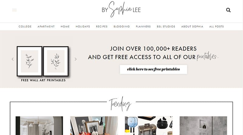 28. By Sophia Lee - Examples Of Niche Website Example