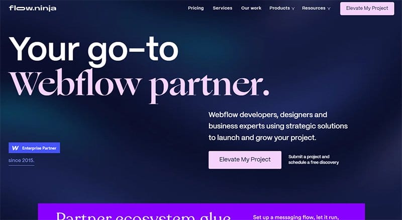 32. Flow Ninja - Beautiful Dark Websites for Inspiration Example