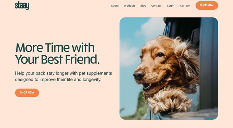4. Staay - Best High Converting Website Example