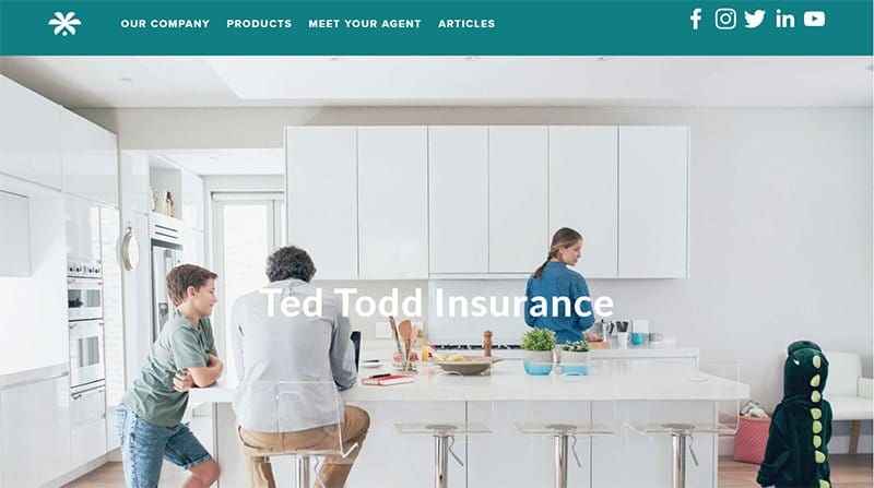 4. Ted Todd Insurance - Best Website Homepage Design Example