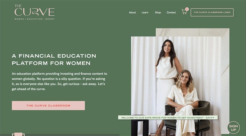 5. The Curve - Examples Of Niche Website Example