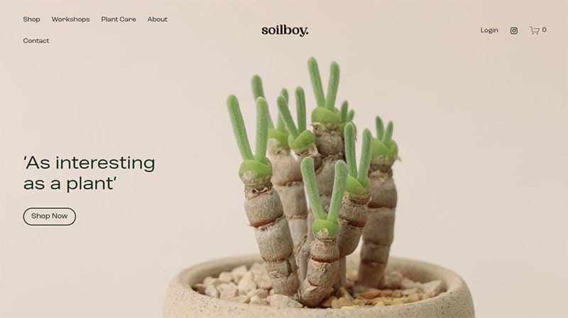 8. Soilboy - Best Unique Website Example