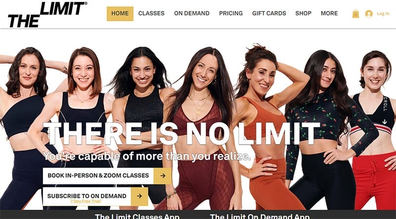 9. The Limit - Examples Of Niche Website Example