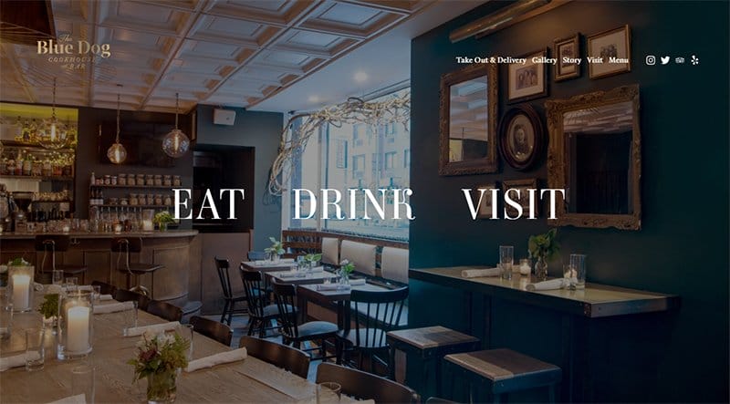 12. Blue Dog - Squarespace Website Example
