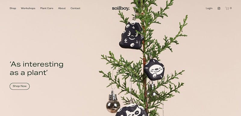 12. Soilboy - Best Creative Web Design Idea Example
