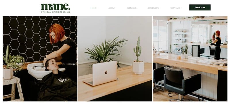 13. Mane - Best Colors For Website Example