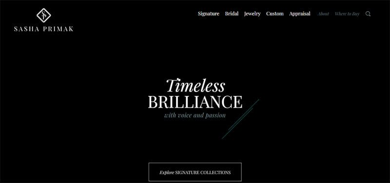 13. Sasha Primak - Stunning Corporate Website Example