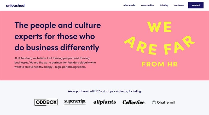 16. Unleashed - Stunning Corporate Website Example