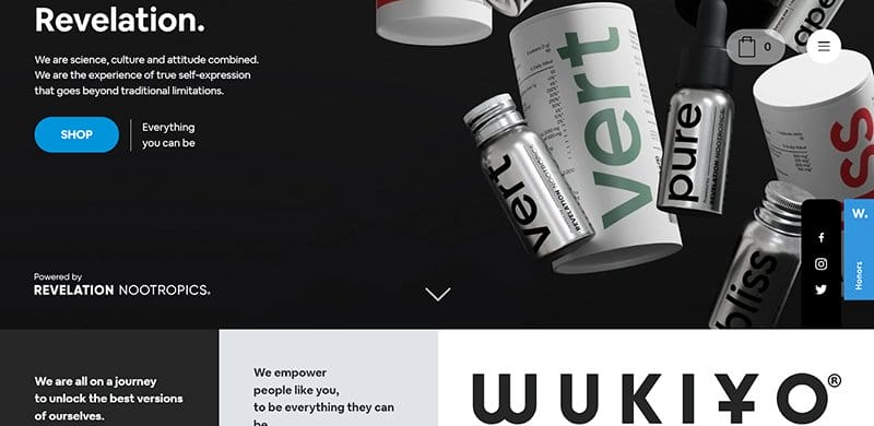 19. Wukiyo - Best Website Design Idea Example