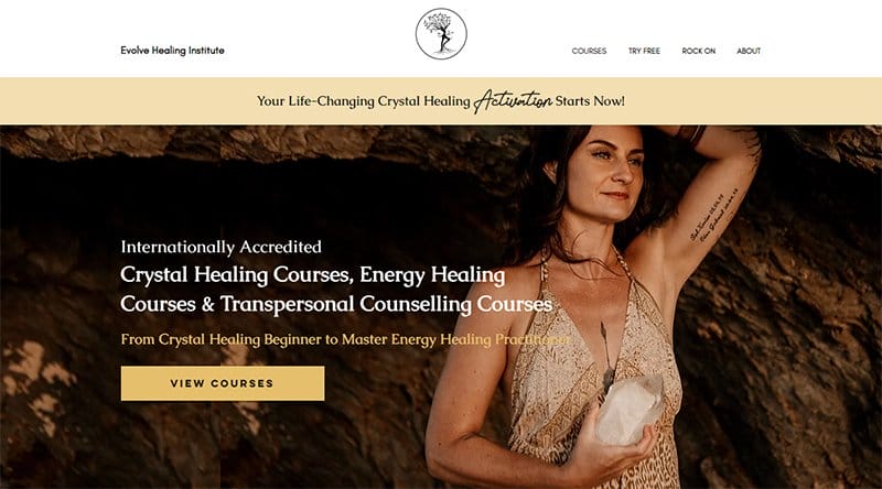 20. Evolve Healing Institute - Brochure Website Example