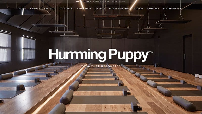 22. Humming Puppy - Squarespace Website Example