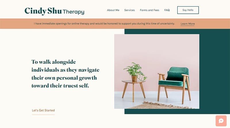 3. Cindy Shu Therapy - Best Professional Services Website Example