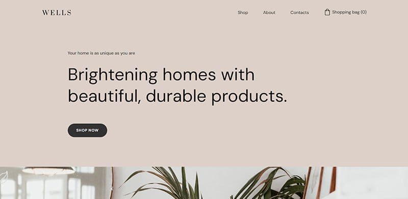 37. Wells - Best Colors For Website Example