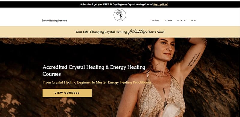 41. Evolve Healing Institute - Best Colors For Website Example