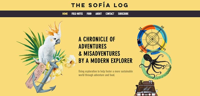 7. The Sofia Log - Best Colors For Website Example