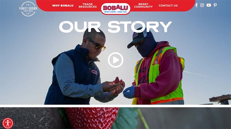 8. Bobalu Berries - Best Timeline Website Example