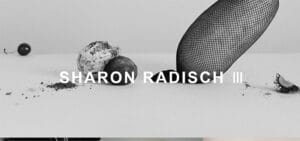 40 Best Sleek Website Design Examples of 2025