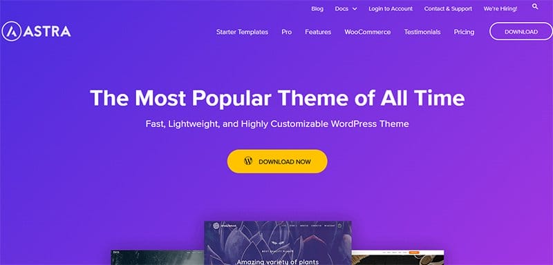 16. Astra - Best Blue Websites Example