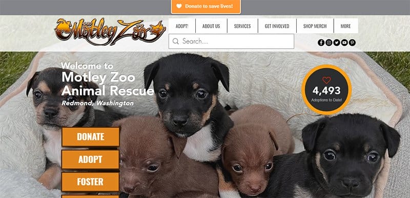 17. Motley Zoo Animal Rescue - Best Zoo Website Design Examples