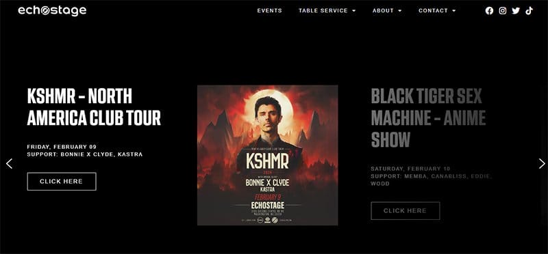 18. Echostage - Great Club Website Examples For Design Inspiration