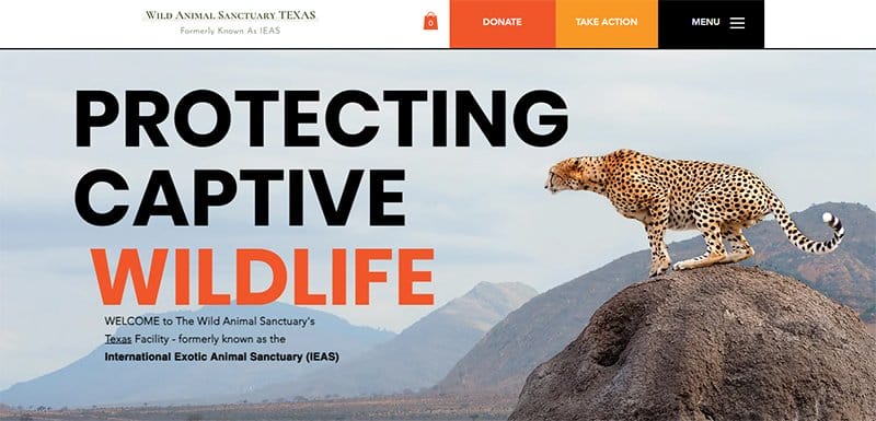 2. The Wild Animal Sanctuary - Best Zoo Website Design Examples
