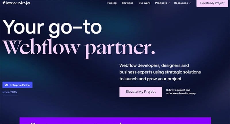 21. Flow Ninja - Beautiful Examples of Gradient Websites Example