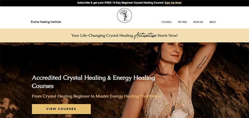 22. Evolving Healing Institute - Stunning Yellow Websites With Color Schemes Example