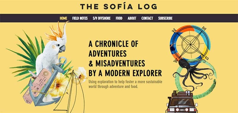25. The Sofia Log - Best Sleek Website Design Examples