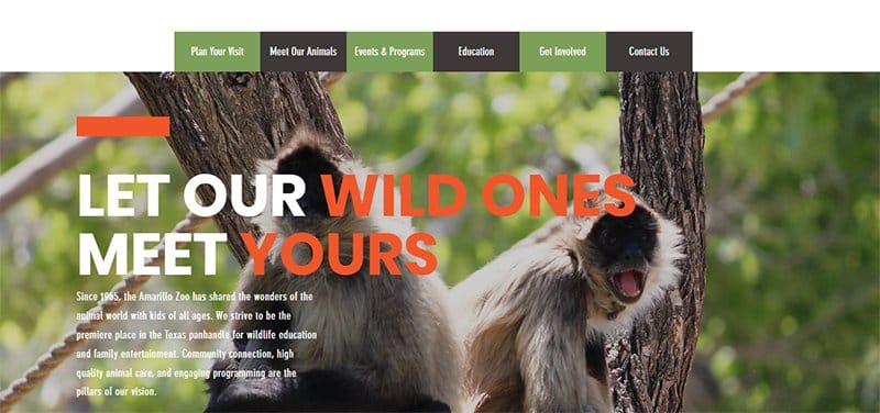 4. The Amarillo Zoo - Best Zoo Website Design Examples