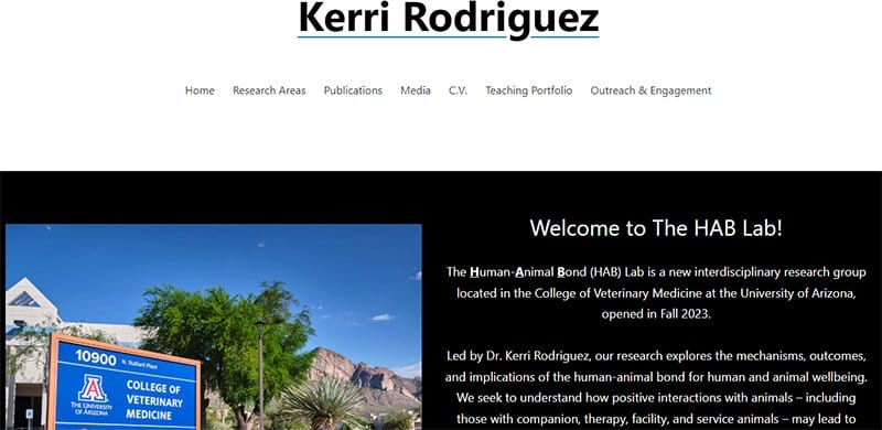 5. Kerri Rodriquez - Great Personal Academic Website Examples