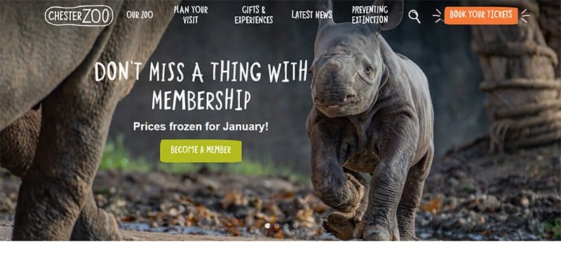 6. Chester Zoo - Best Zoo Website Design Examples