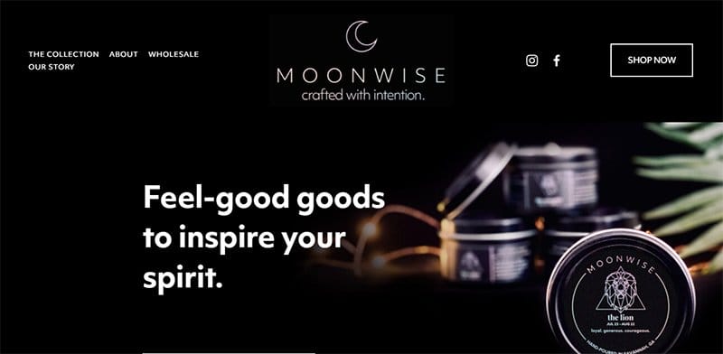 6. MoonWise - Best Clean Website Design Examples