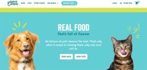 20 Real Multilingual Website Examples of 2024