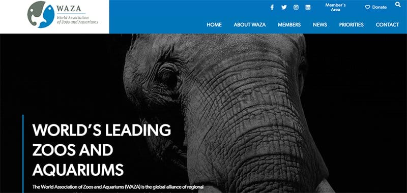 8. WAZA - Best Zoo Website Design Examples