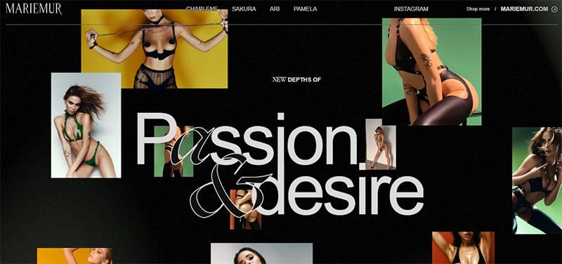 9. MARIEMUR - Innovative Web Design Examples