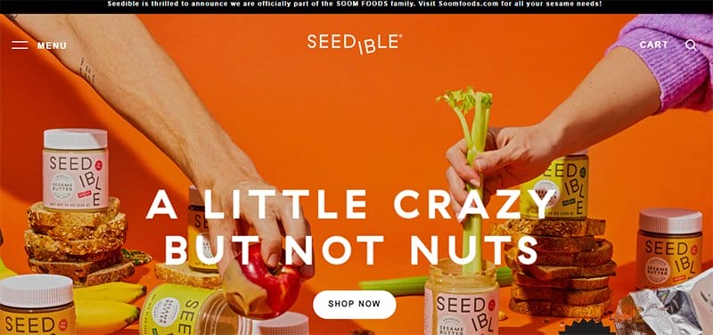 9. SEEDIBLE - Best Colorful Website Design Examples