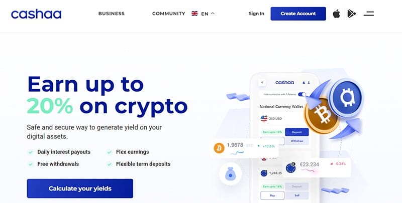 1. Cashaa - Best Crypto Website Designs For Your Inspiration